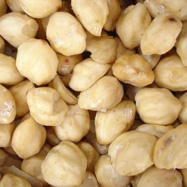 Dried candlenut kemiri Indonesia export RLB Spice