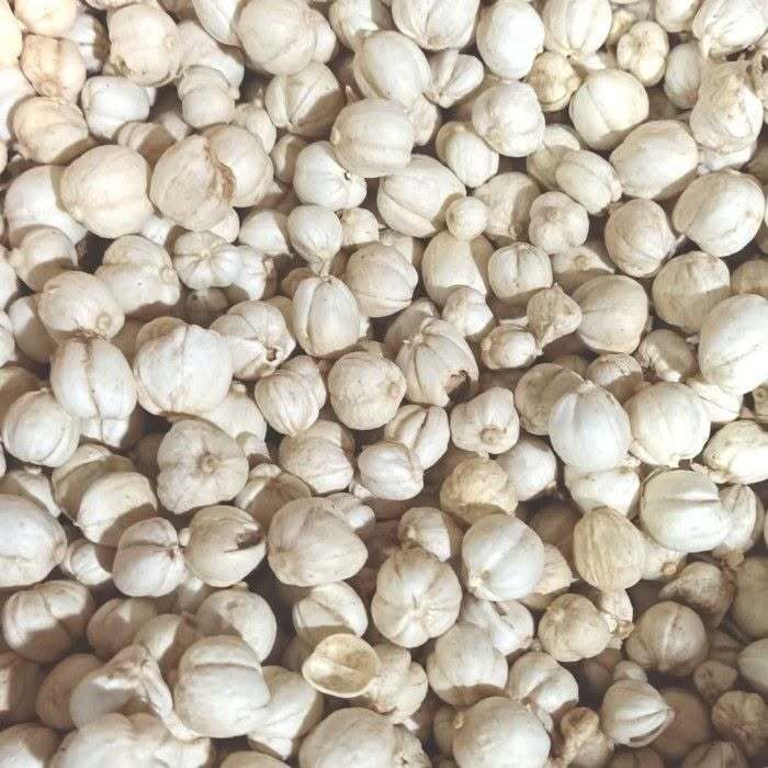 Dried cardamom kapulaga Indonesia export RLB Spice
