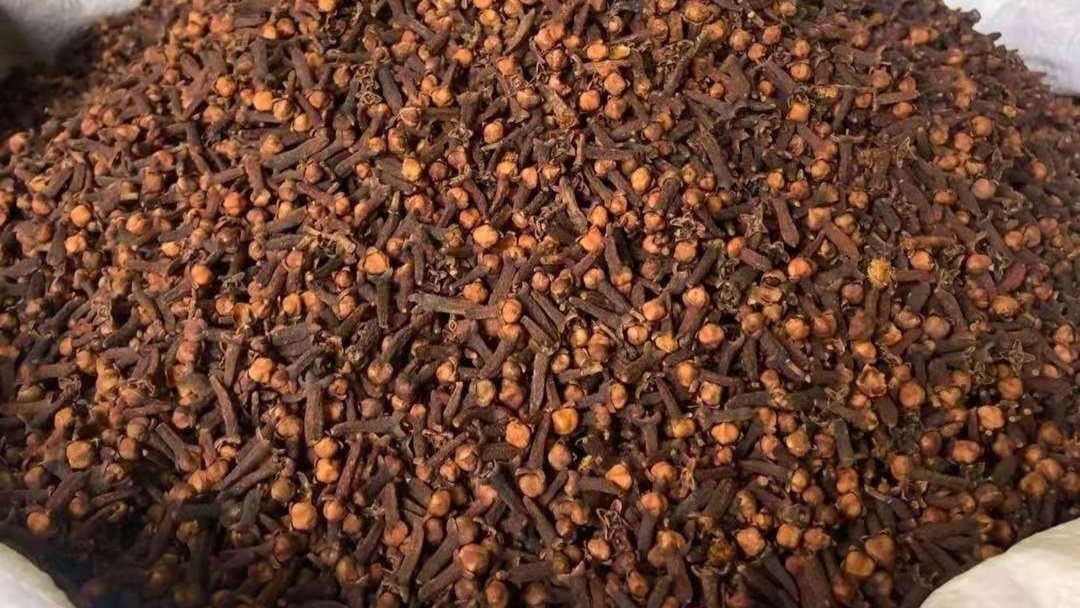Clove cengkeh Indonesia exporter RLB Spice