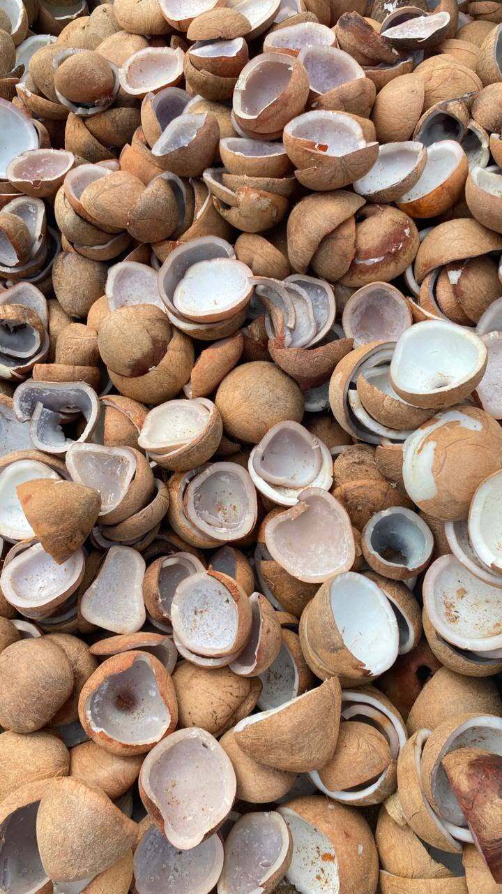 Dried copra coconut Indonesia export RLB Spice