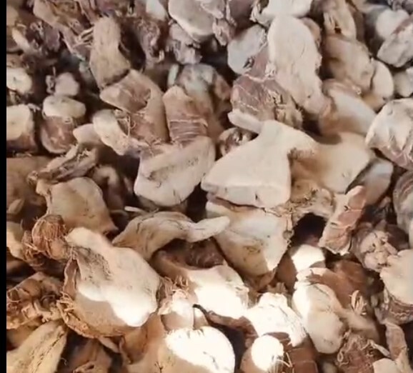 Dried galangal lengkuas Indonesia export RLB Spice