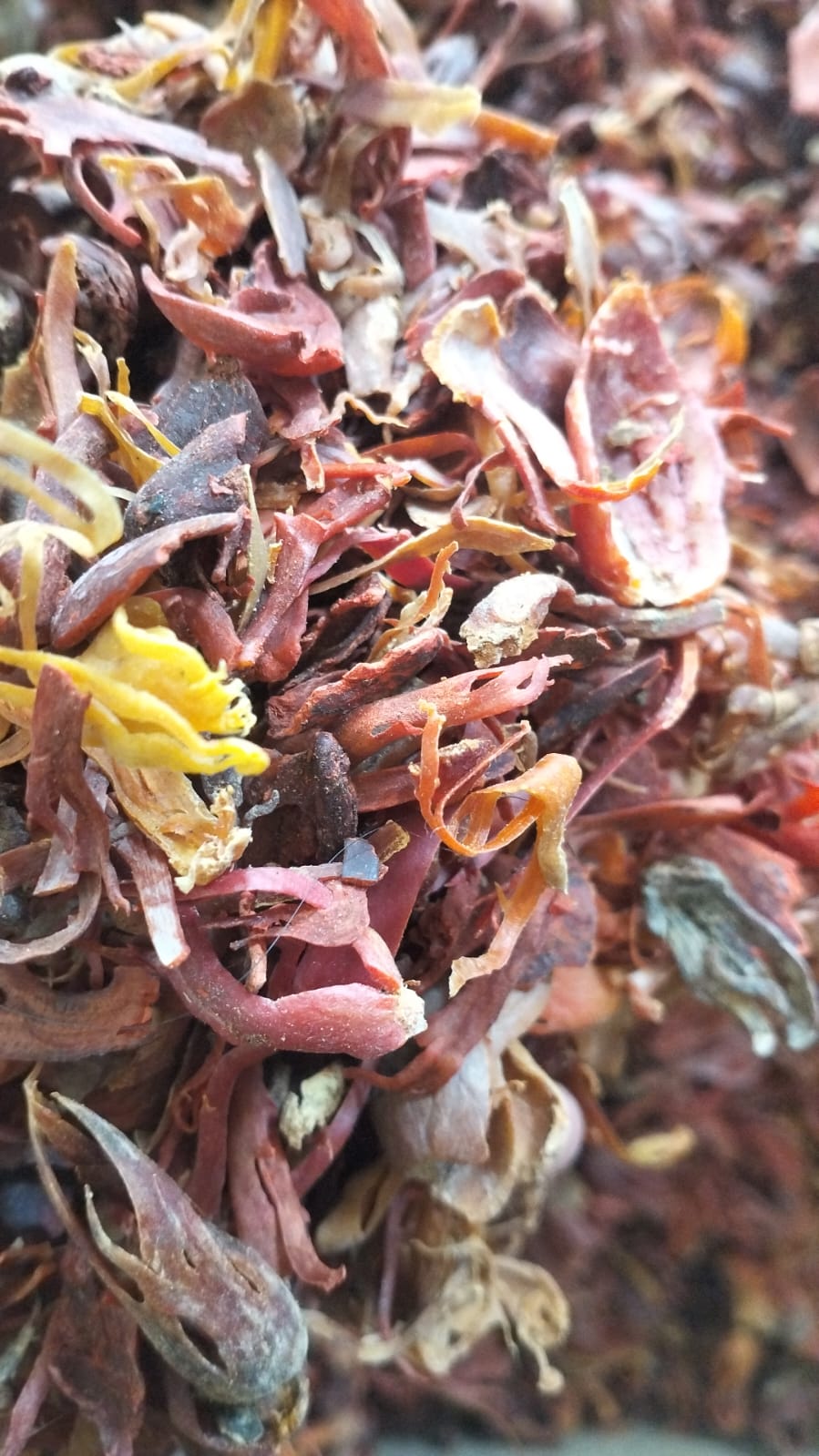 Dried mace fuli nutmeg Indonesia export RLB Spice