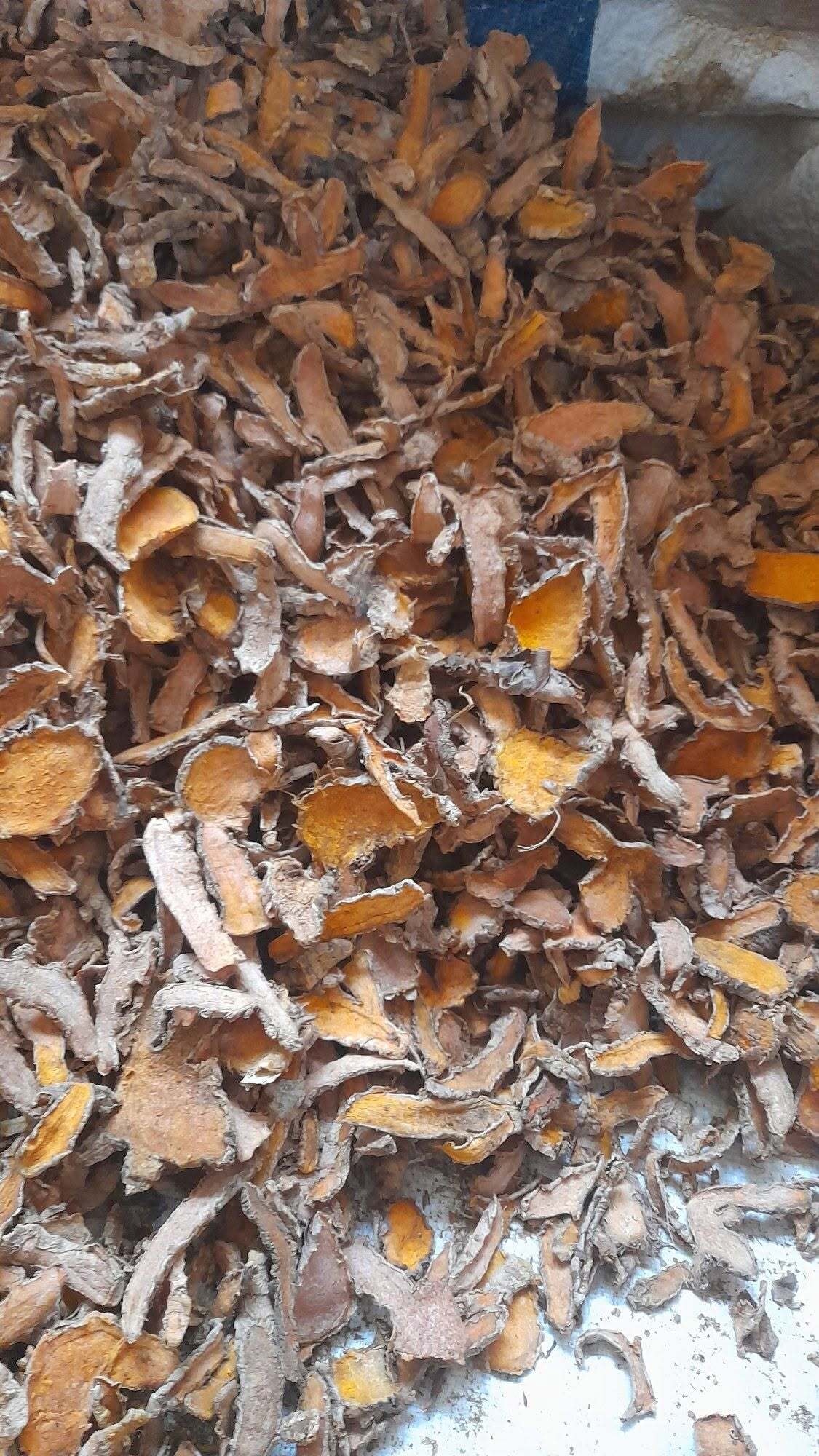 Dried turmeric kunyit Indonesia export RLB Spice