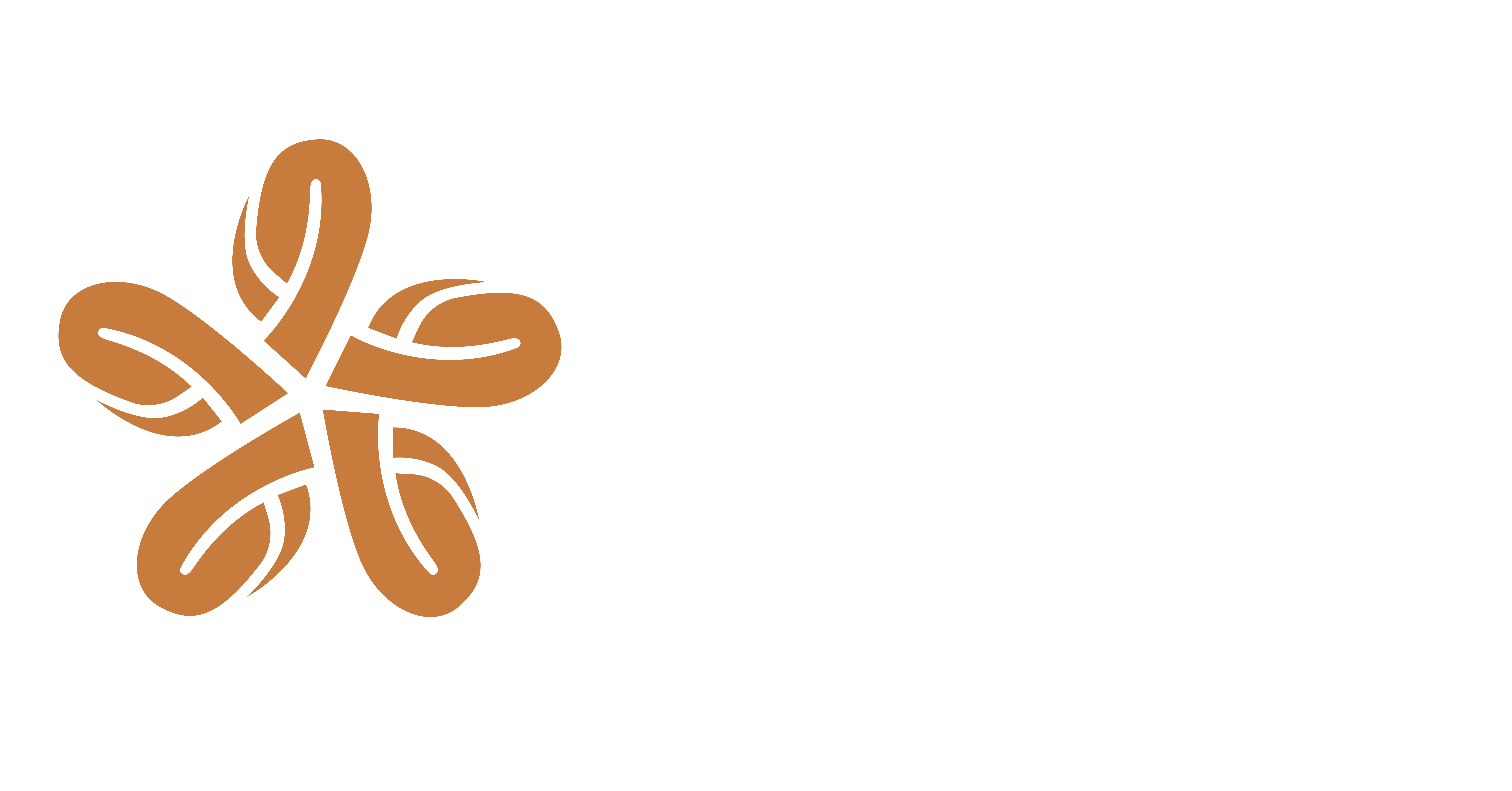 RLB Spice — PT Raja Lima Benua